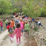 Educazione ambientale