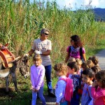 Asilo di Marina di Campo