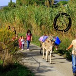 Asilo di Marina di Campo