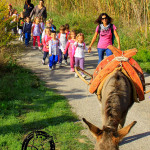 Asilo di Marina di Campo