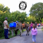 Asilo di Marina di Campo