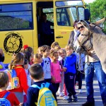Asilo di Marina di Campo