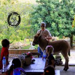 Asilo di Marina di Campo