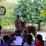 Asilo di Marina di Campo