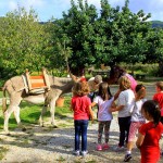 Asilo di Marina di Campo