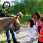 Asilo di Marina di Campo