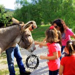 Asilo di Marina di Campo