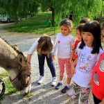 Asilo di Marina di Campo