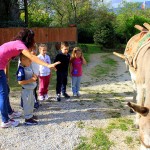 Asilo di Marina di Campo