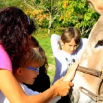 Asilo di Marina di Campo