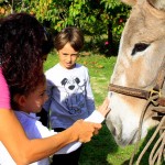 Asilo di Marina di Campo