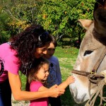 Asilo di Marina di Campo