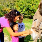 Asilo di Marina di Campo