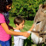Asilo di Marina di Campo
