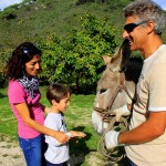 Asilo di Marina di Campo