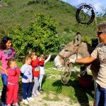 Asilo di Marina di Campo