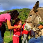Asilo di Marina di Campo