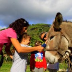 Asilo di Marina di Campo
