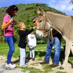 Asilo di Marina di Campo