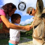 Asilo di Marina di Campo