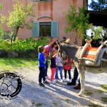 Asilo di Marina di Campo