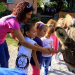 Asilo di Marina di Campo