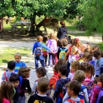 Asilo di Marina di Campo