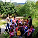 Asilo di Marina di Campo