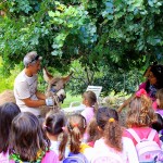 Asilo di Marina di Campo