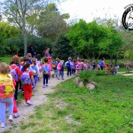 Asilo di Marina di Campo