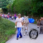 Asilo di Marina di Campo