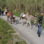 Asilo di Portoferraio