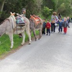 Asilo di Portoferraio