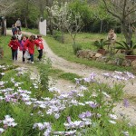 Asilo di Portoferraio