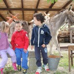 Asilo di Portoferraio
