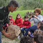 Asilo di Portoferraio