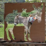 Asilo di Portoferraio