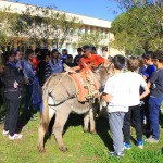 Scuole Medie Marina di Campo