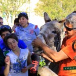 Scuole Medie Marina di Campo