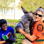 Scuole Medie Marina di Campo