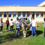 Scuole Medie Marina di Campo