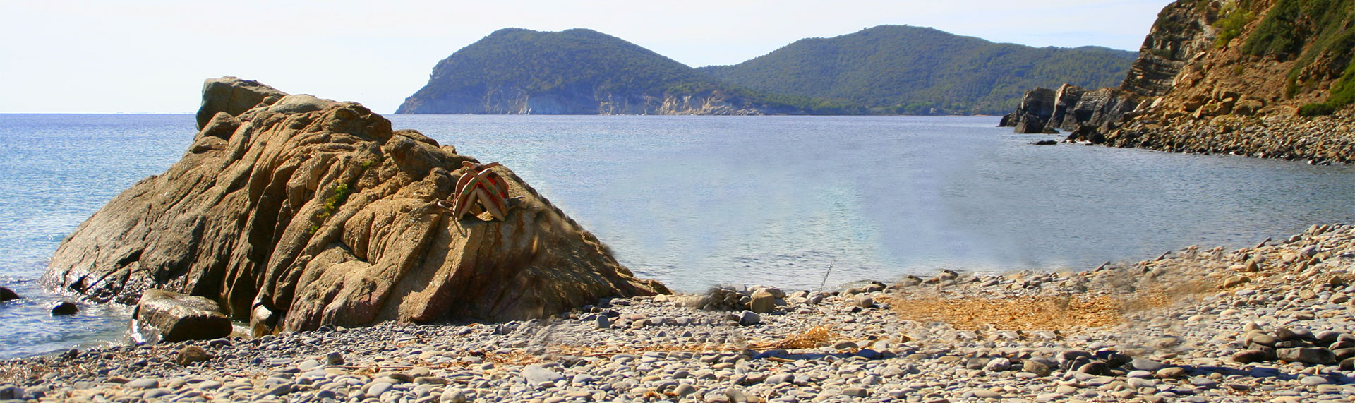 header_4_sfondo