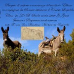 Scuole Medie Marina di Campo